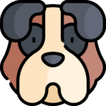 Perro