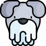 Perro