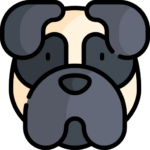 Perro