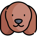 Perro