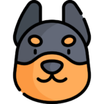 Perro