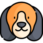 Perro