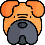 Perro