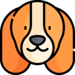 Perro
