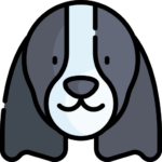 Perro