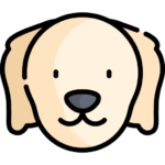 Perro