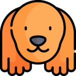 Perro