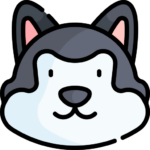 Perro