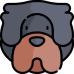 Perro
