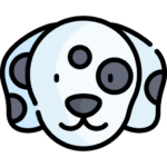 Perro