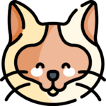 Gato