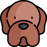 Perro