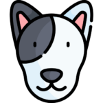 Perro