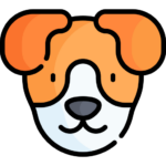 Perro