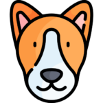 Perro