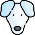 Perro