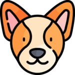 Perro