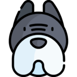 Perro