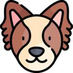Perro