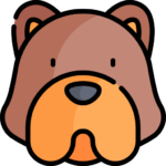 Perro