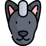 Perro