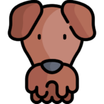 Perro