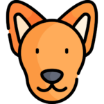 Perro