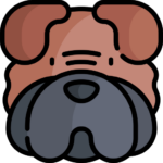Perro