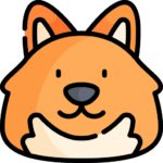 Perro