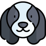 Perro