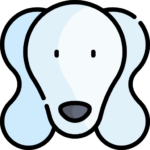 Perro