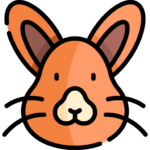 Conejo raro