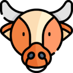 Toro