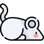 Ratón